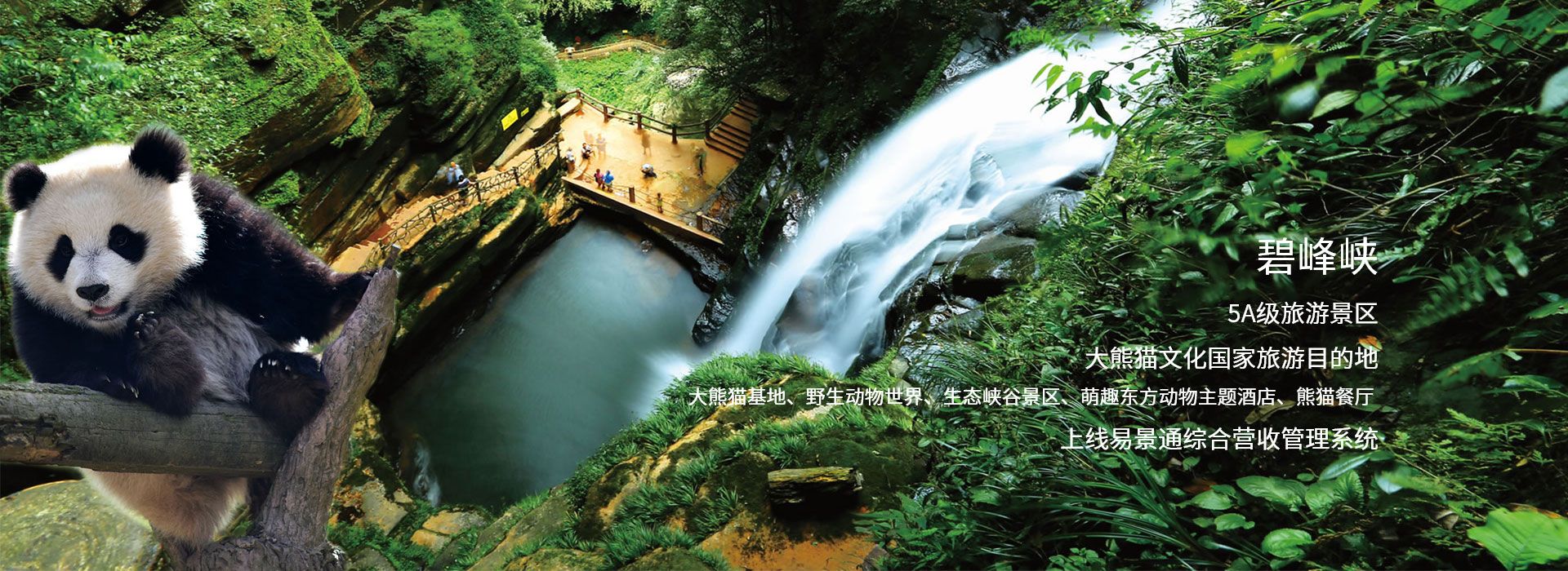 易景通景區(qū)票務(wù)系統(tǒng)和碧峰峽5A旅游景點達成合作